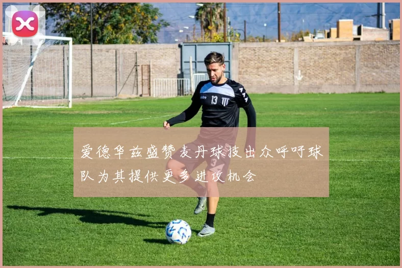 爱德华兹盛赞麦丹球技出众呼吁球队为其提供更多进攻机会
