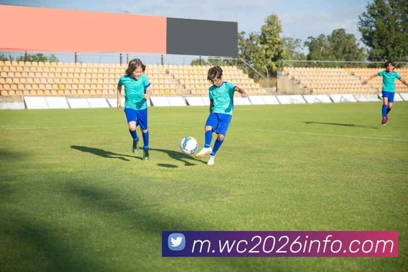 奖项证书